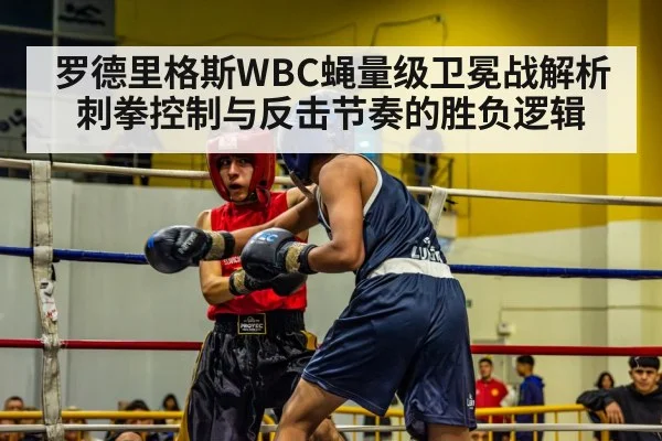 罗德里格斯WBC蝇量级卫冕战解析刺拳控制与反击节奏的胜负逻辑